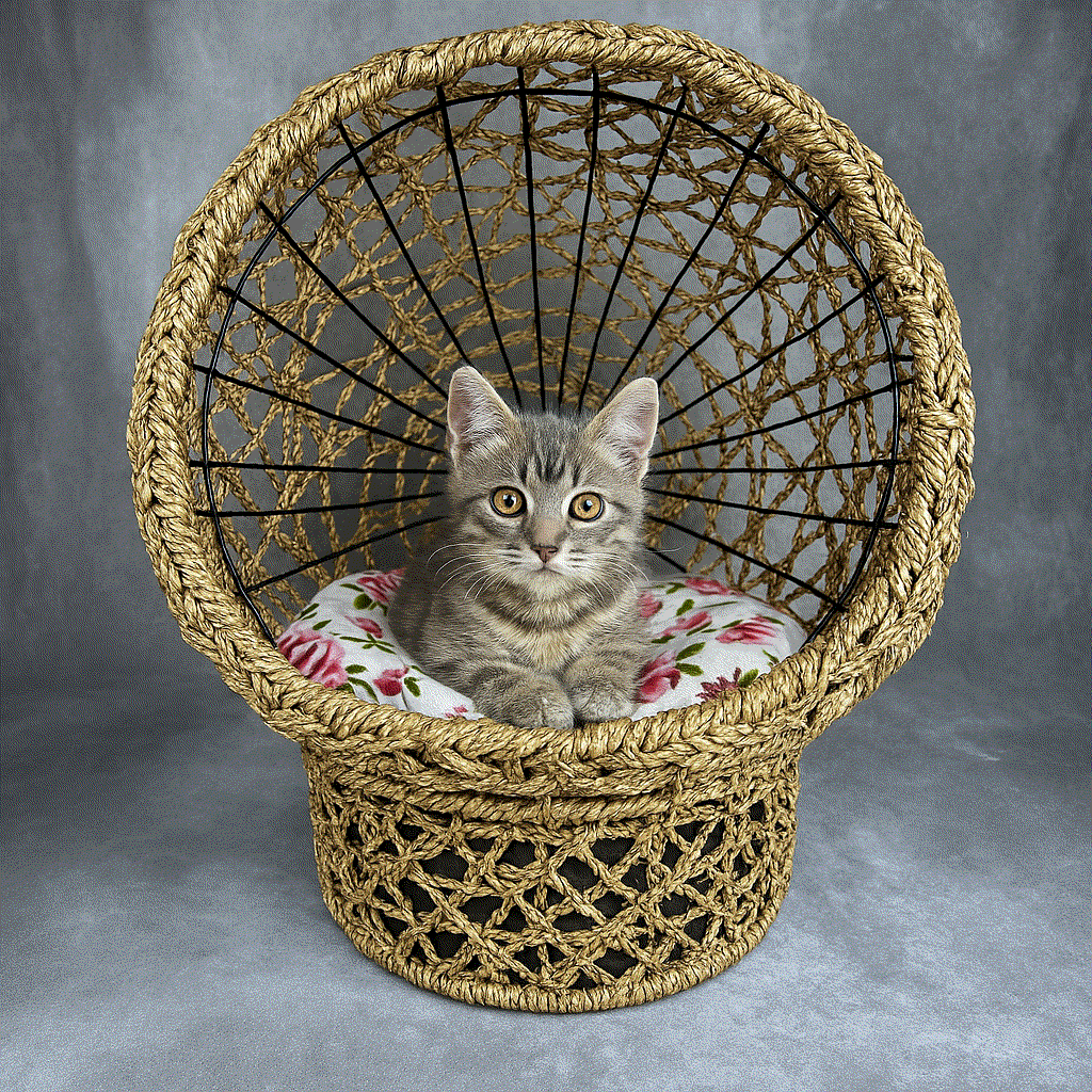 Pet Basket - Cozy Seagrass Bed for Cats & Small Dogs