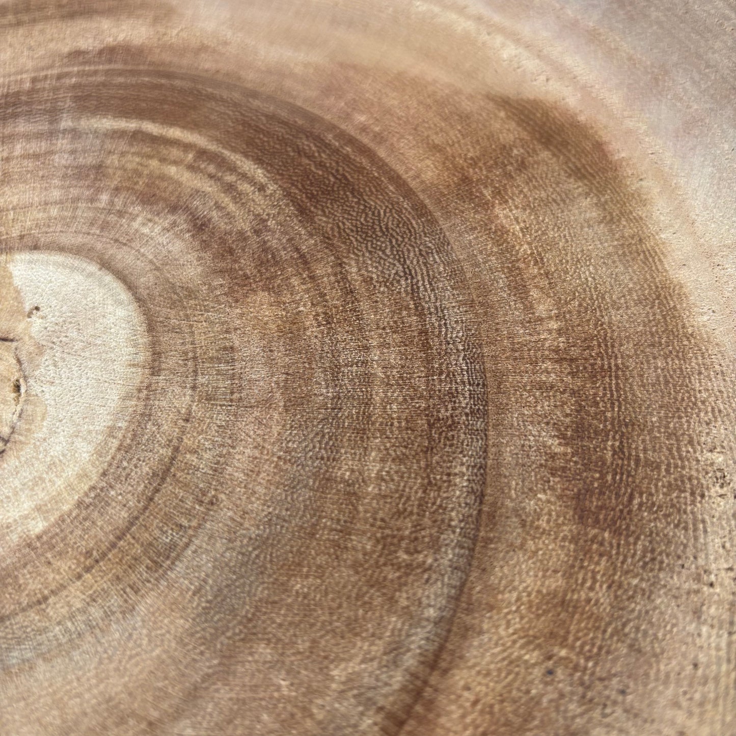 Elemental Harmony Rustic Luxe Decorative Bowl